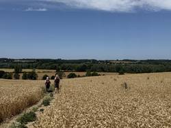 Stour Valley